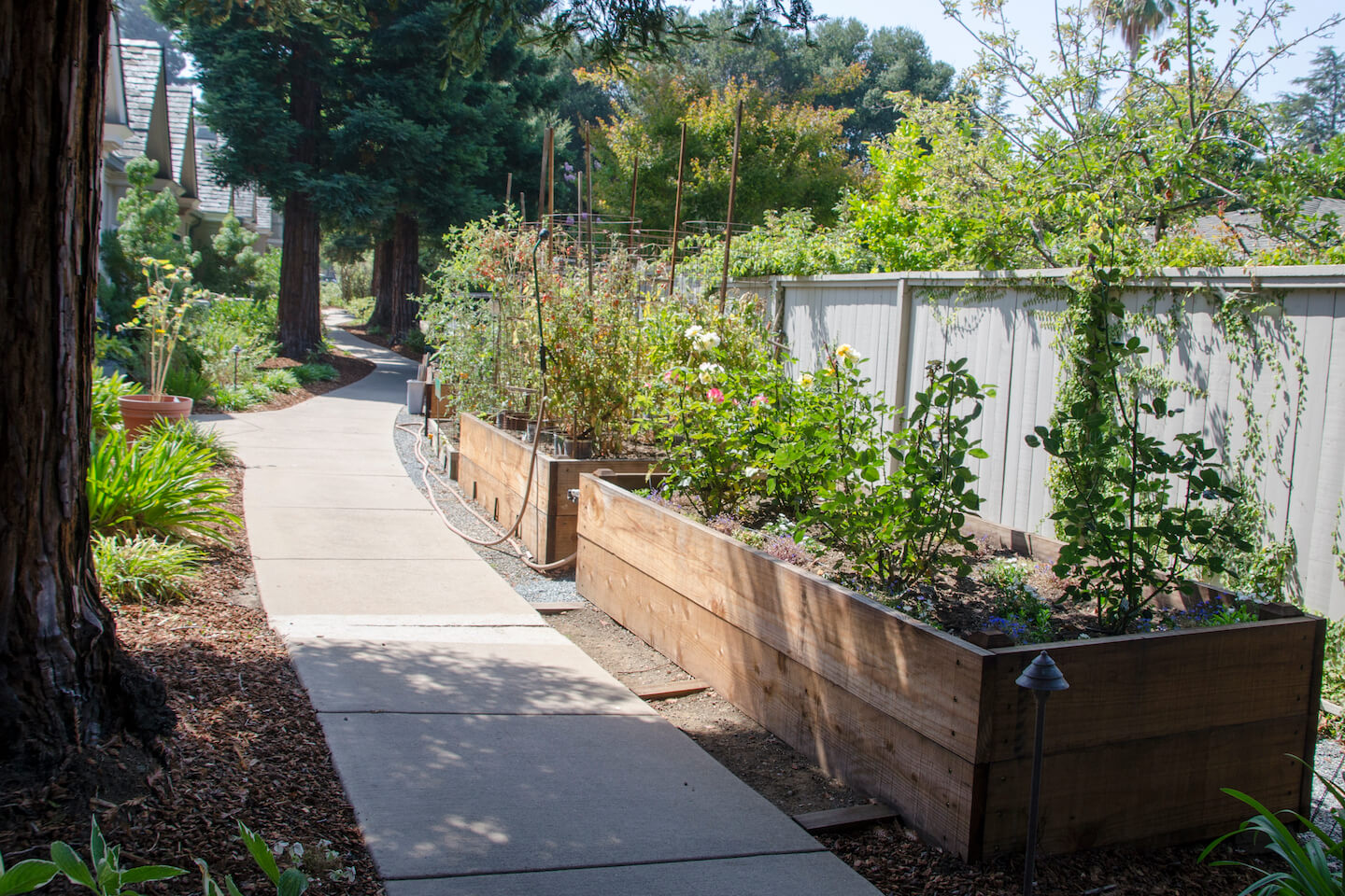 Photo of garden boxes