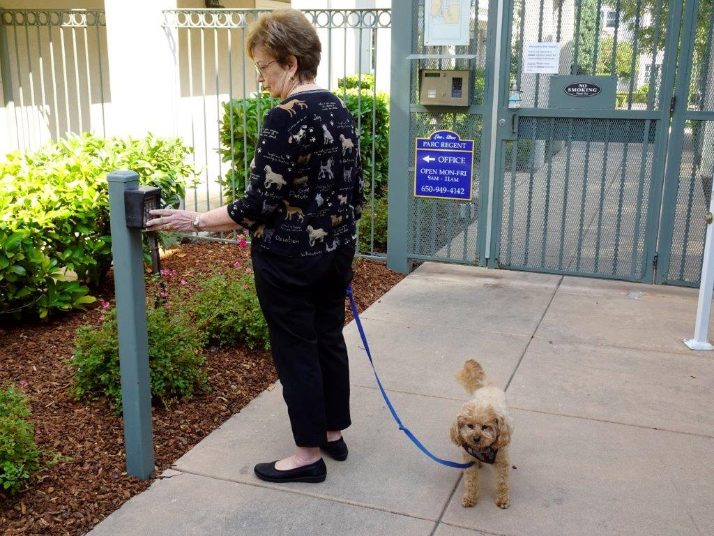 Image of woman and dog